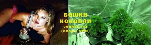 дживик Нефтегорск