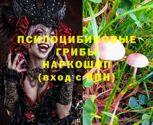 дживик Нефтегорск